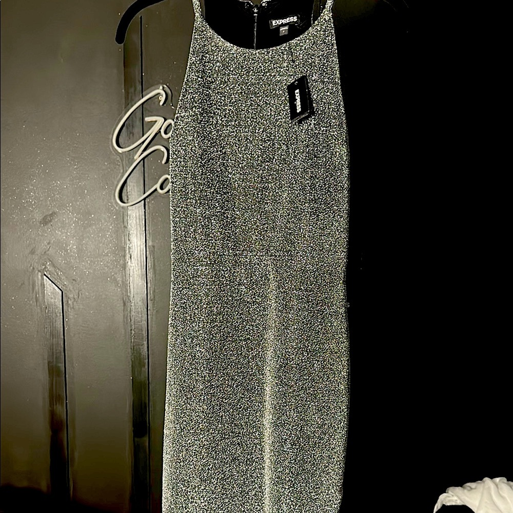 Express Silver Glitter Dress